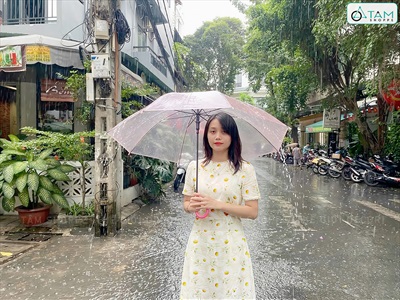 Dù trong suốt thời trang cán dài nhựa dẻo [3 màu] R93cm PHUKIEN-01